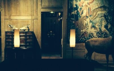 Museums, Things and Fairy Tales